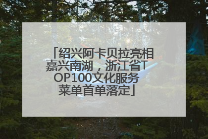 绍兴阿卡贝拉亮相嘉兴南湖，浙江省TOP100文化服务菜单首单落定